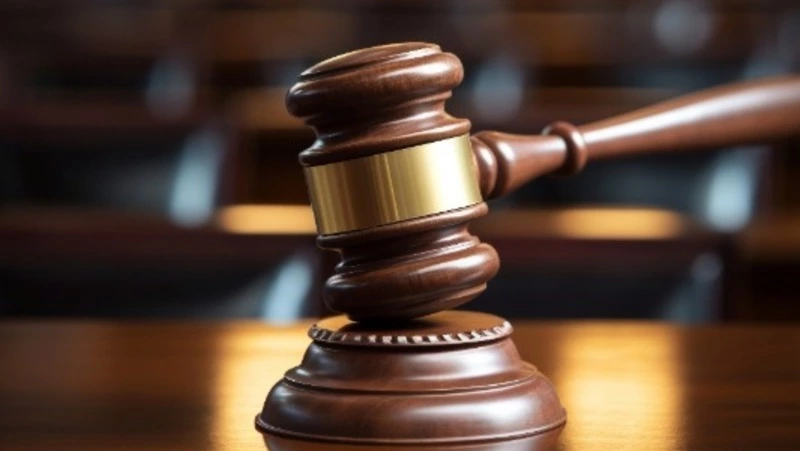 Суд обязал власти Смирныховского района создать городское лесничество