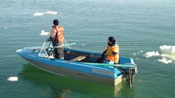 Спасатели не могут найти рыбаков на льдине