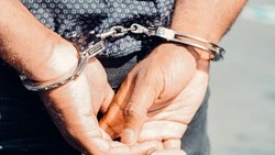 Серийный мошенник, «скупающий» смартфоны с рук, попался полиции на Сахалине