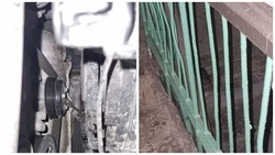 «Проникают в автомобили и подъезд»: южносахалинцы пожаловались на нашествие крыс