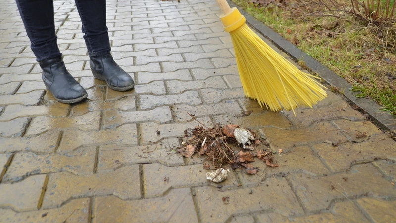 Сахалинцев просят убраться на улицах