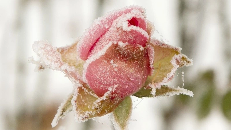 Народные приметы на 1 марта 2024: что нельзя делать в этот день