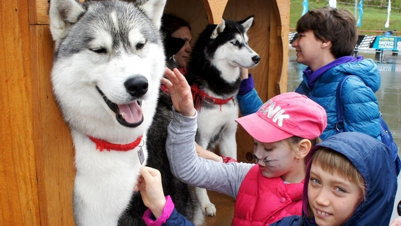 «Кристалл» подарил праздник детям
