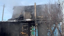 СК начал проверку после гибели мужчины при пожаре в южно-сахалинском СНТ