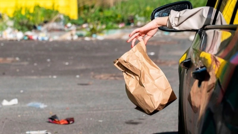 Штрафы за выброс мусора из автомобилей вступили в силу в РФ 11 января