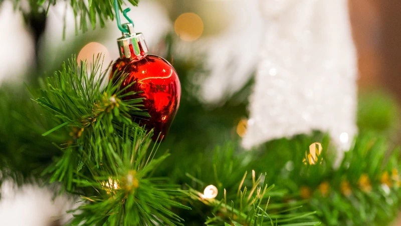 Новогодние пазлы: сможете собрать все картинки?