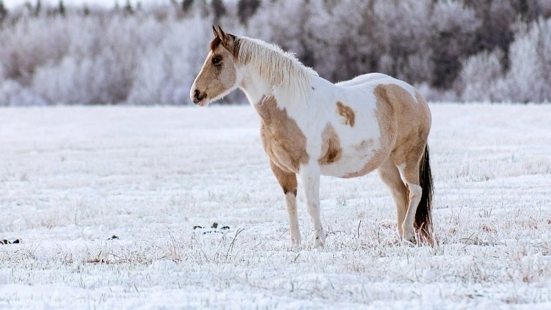 Церковный праздник 1 ноября 2024: что нельзя делать в этот день, приметы
