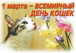 С Днем кошек 2025: красивые, милые и прикольные картинки к празднику