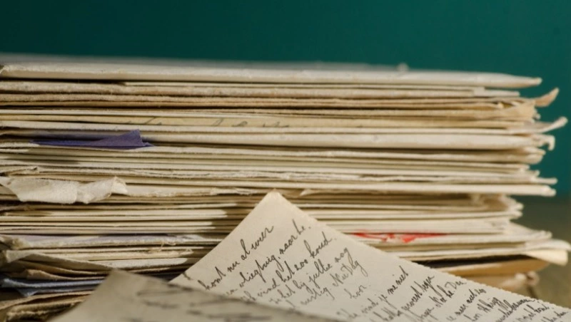 Апрель 2022 года на Сахалине: гастроли Сумишевского, поиск мамы и нападение медведя