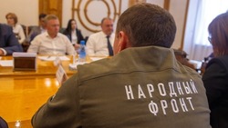Руководит регионом через обратную связь с населением: эксперты о диалоге ОНФ и губернатора