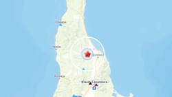 Землетрясение магнитудой 2,5 произошло на юге Сахалина утром 1 ноября
