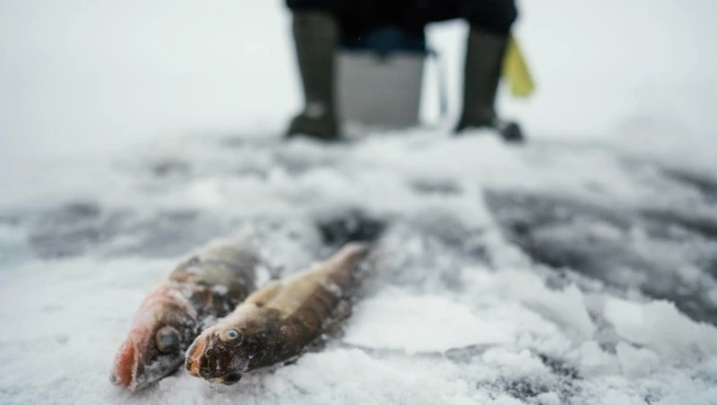 Занимают места затемно: сахалинцам показали ажиотаж на рыбалку на озере Изменчивом