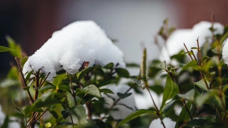 Снег и до -17 градусов прогнозируют синоптики на Сахалине и Курилах 23 ноября