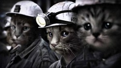 Жителям Южно-Сахалинска доставят уголь по заявкам с 15 августа
