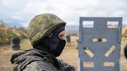 ВС РФ освободили Новопавловку в ДНР и Алексеевку в Днепропетровской области