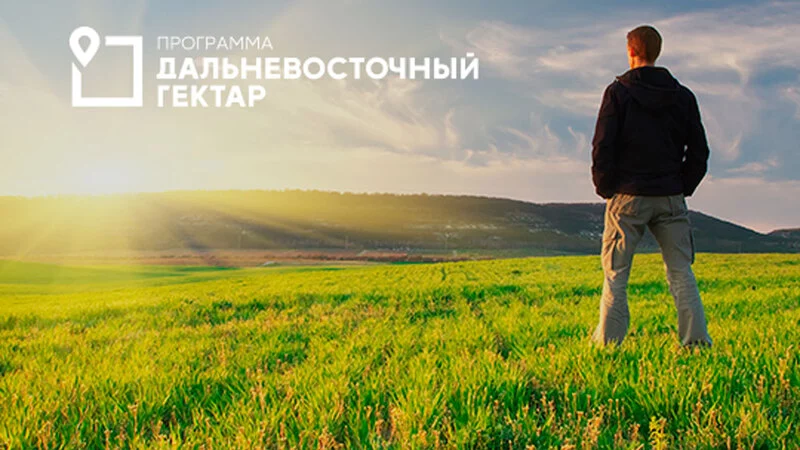 Сахалинская область вошла в тройку лидеров по числу деклараций в рамках «ДВ-гектара»