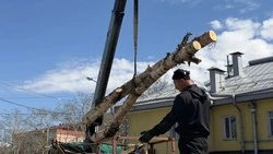 В Углегорске стартовал новый этап обновления городской среды