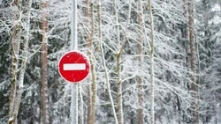 Сель сошел на дорогу в Невельском районе утром 5 декабря 