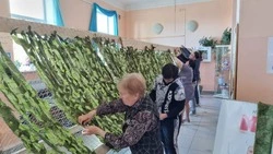 Сеть для маскировки передали в зону СВО волонтеры из Томари