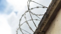 За гибель пешехода житель Южно-Сахалинска получил 2,6 года колонии-поселения
