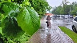 Сильный дождь спрогнозировали для Южно-Сахалинска на 2 августа