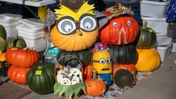 Агрофестиваль в Южно-Сахалинске собрал сотни островитян со всего региона