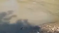 Рыбная река цветом глины перепугала жителей Сахалина