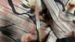 Сахалинку обвинили в убийстве сожителя ударом ножа в пах