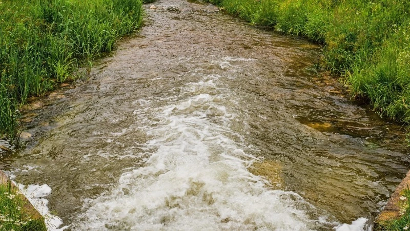 Церковный праздник 8 мая 2025: что нельзя делать в этот день, приметы