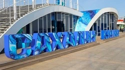 Итоги ВЭФ-2025: Сахалин укрепляет энергетику, привлекает инвестиции и развивает социальные проекты