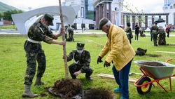 Сахалинская область отметилась высадкой 75 кленов в международной акции «Сад памяти»