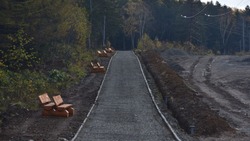 Янтарный парк в Долинском районе откроют для горожан 4 ноября 