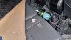 Наркотики нашли в автомобиле супружеской пары на Сахалине 