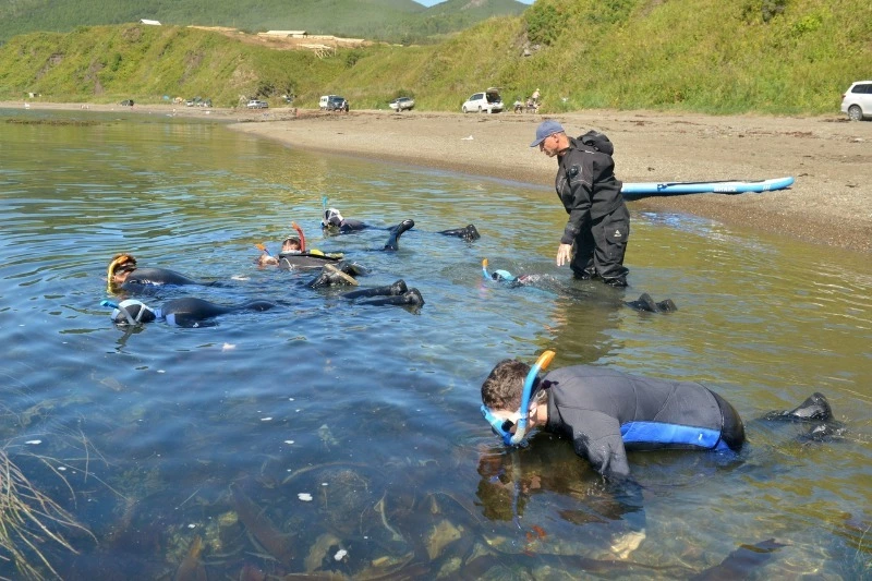С обитателями литорали познакомили волонтеры юных сахалинцев
