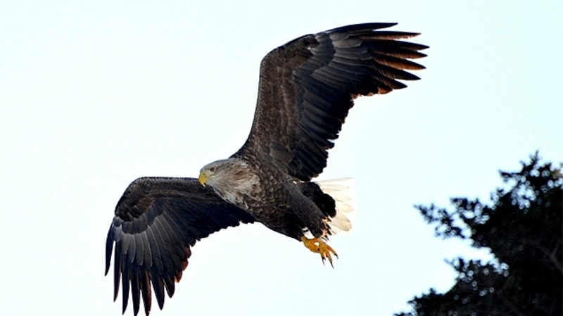 Нетронутый рай