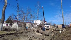 Аллею для прогулок и отдыха начали обустраивать в Аниве 