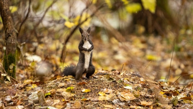 Погода даст сахалинцам отдохнуть от циклонов в начале короткой недели