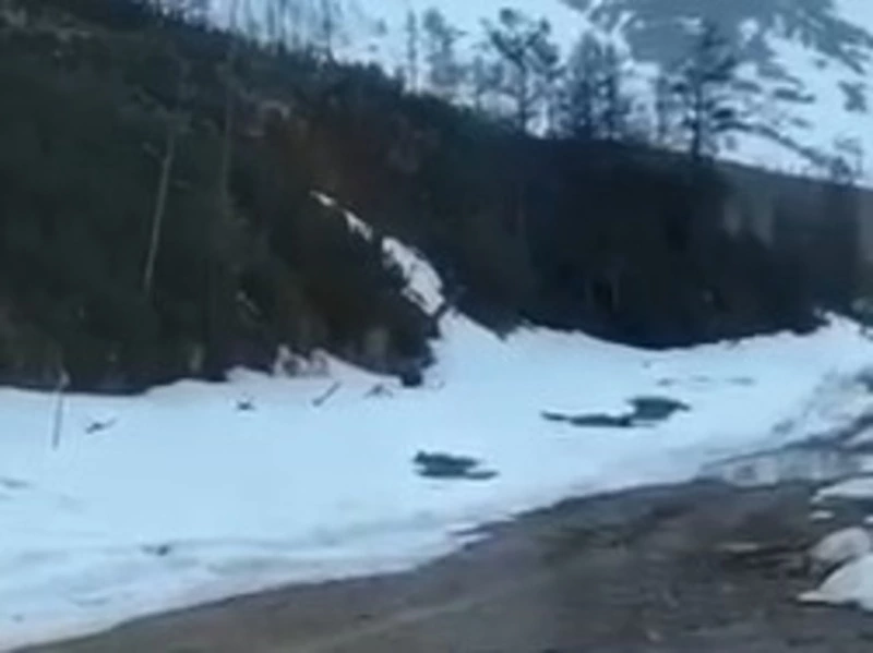 Горняки взорвали медведя в Якутии: приманкой стала кастрюля с едой