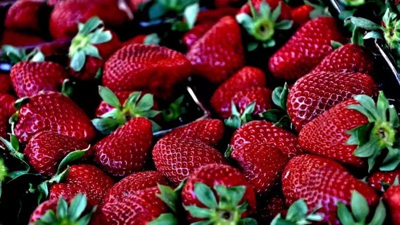 Клубнику продают сахалинцам по завышенному ценнику