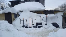 Владелец конной фермы на Сахалине поблагодарил островитян за расчистку двора