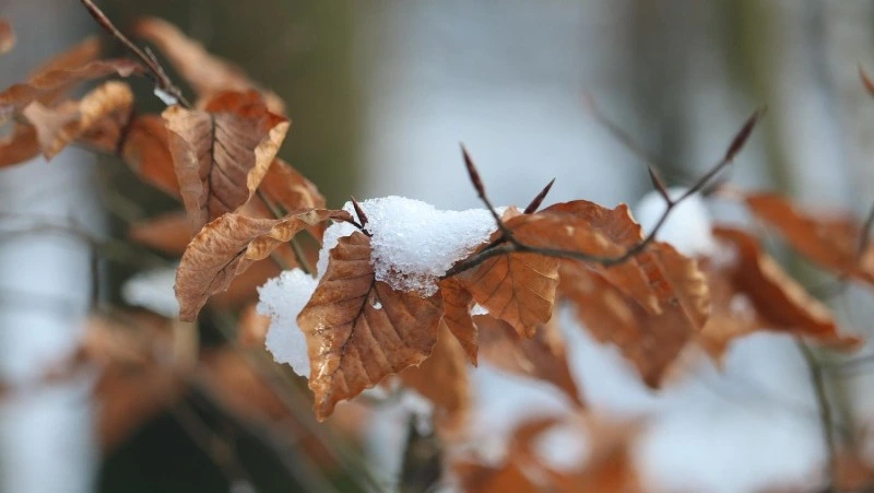 Церковный праздник 24 ноября 2024: что нельзя делать в этот день, приметы