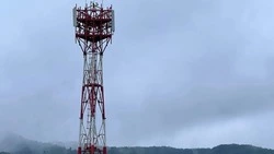 МТС ускорила интернет в сахалинском «городе Чехова и Александра Второго» 