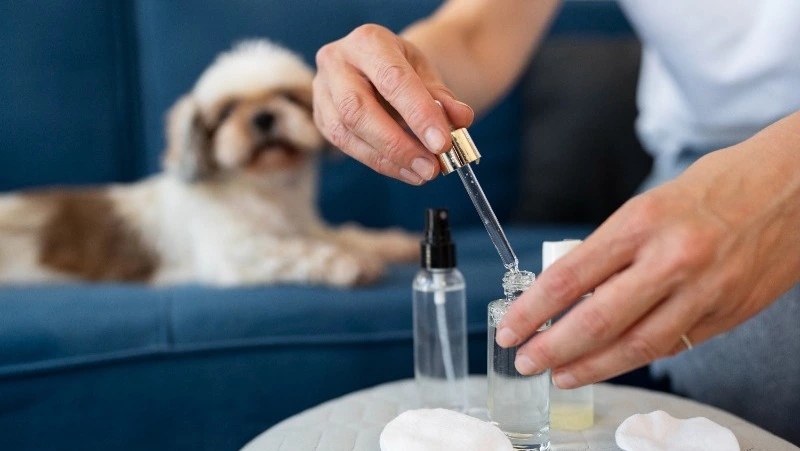 Капли для глаз собак: важный элемент ухода и профилактики