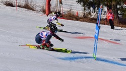 Спортсмены Сахалина взяли бронзу в финале Кубка России по горным лыжам