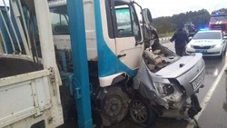 Полиция опубликовала подробности смертельного ДТП в Корсаковском районе