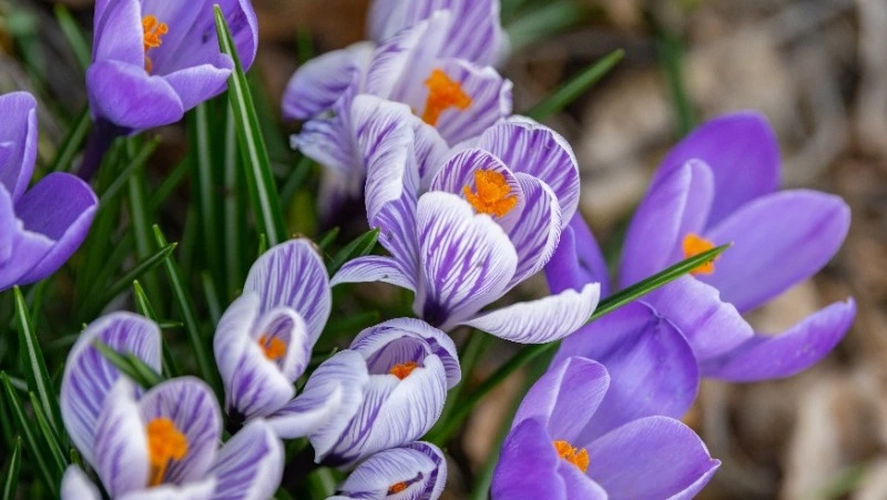 Усиление ветра и потепление спрогнозировали на территории Сахалинской области 22 апреля