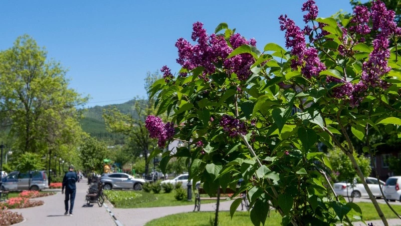 Состояние новых общественных территорий проверили в трех городах Сахалинской области