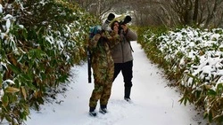 Ученые: в 2024 году на Курилах шесть пар японских журавлей обзавелись потомством