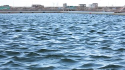 Роспотребнадзор оценил опасность от сброса воды с АЭС «Фукусима-1»