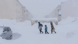 Жителей Южно-Сахалинска попросили заранее выбрасывать мусор в преддверии метели